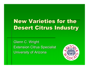 New Varieties for the Desert Citrus Industry Glenn C. Wright Extension Citrus Specialist