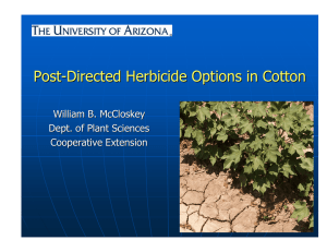 Post - Directed Herbicide Options in Cotton William B. McCloskey