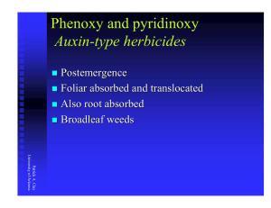 Phenoxy and pyridinoxy Auxin-type herbicides Postemergence Foliar absorbed and