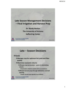 Late – Season Decisions Late Season Management Decisions Dr. Randy Norton
