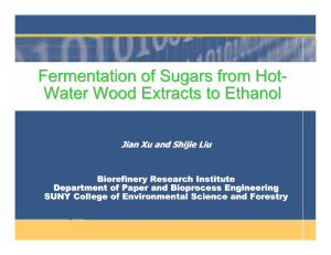 Fermentation of Sugars from Hot - Water Wood Extracts to Ethanol