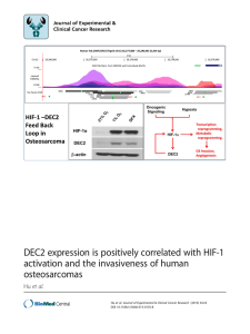DEC2 expression is positively correlated with HIF-1 osteosarcomas