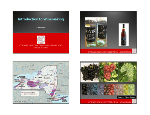 Introduction to Winemaking NYSAES Source: Chris Owens Chris Gerling