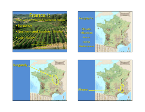 France I:  Burgundy • Northern and Southern Rhone