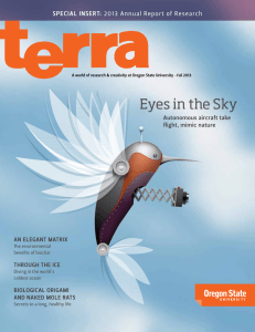 Eyes in the Sky sPEciAl insErt: 2013 Annual Report of Research