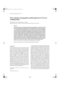 The evolution of geographic parthenogenesis in walking-sticks Timema