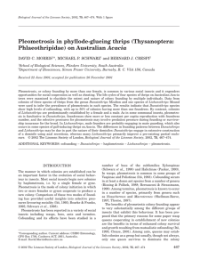 Pleometrosis in phyllode-glueing thrips (Thysanoptera: Acacia *, MICHAEL P. SCHWARZ DAVID C. MORRIS