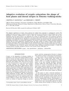 Adaptive evolution of cryptic coloration: the shape of Timema CRISTINA P. SANDOVAL
