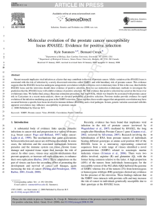 Molecular evolution of the prostate cancer susceptibility