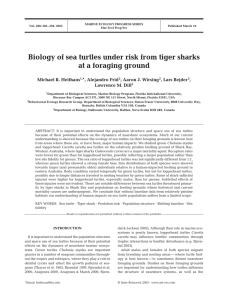 Biology of sea turtles under risk from tiger sharks