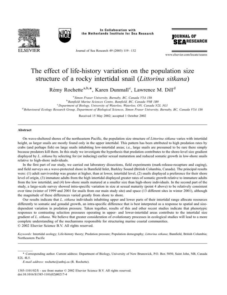 The Effect Of Life history Variation On The Population Size