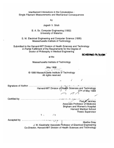 Interfilament  Interactions  in the  Cytoskeleton :