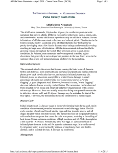 Alfalfa Stem Nematode