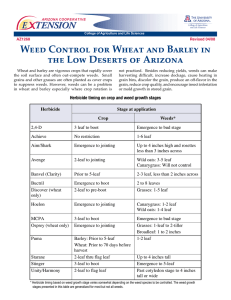 Weed Control for Wheat and Barley in