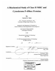 II MHC  and Class Cytochrome  P-450scc  Proteins