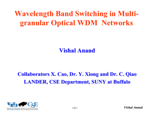 Wavelength Band Switching in Multi- granular Optical WDM  Networks Vishal Anand