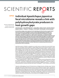 Apostichopus japonicus fecal microbiome reveals a link with polyhydroxybutyrate producers in