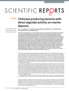 Chitinase producing bacteria with direct algicidal activity on marine diatoms