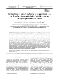 Estimation of age at maturity of loggerhead sea Caretta caretta O