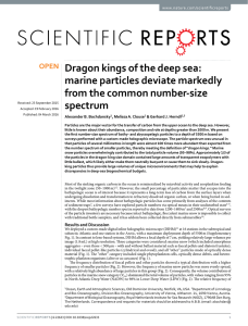 Dragon kings of the deep sea: marine particles deviate markedly spectrum