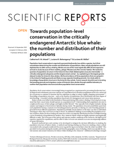 Towards population-level conservation in the critically endangered Antarctic blue whale: