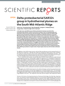 Delta-proteobacterial SAR324 group in hydrothermal plumes on the South Mid-Atlantic Ridge