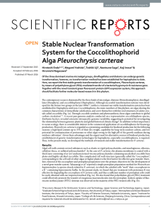 Stable Nuclear Transformation System for the Coccolithophorid Pleurochrysis carterae www.nature.com/scientificreports