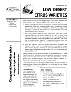 LOW DESERT CITRUS VARIETIES