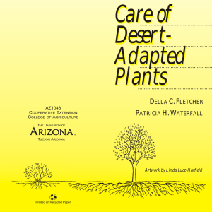 Care of Desert- Adapted