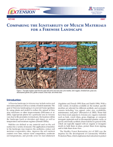 Comparing the Ignitability of Mulch Materials for a Firewise Landscape 09/07