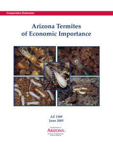 Arizona Termites of Economic Importance AZ 1369 June 2005