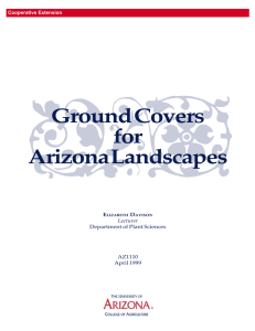 Ground Covers for Arizona Landscapes Cooperative Extension