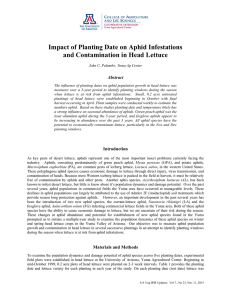 Impact of Planting Date on Aphid Infestations Abstract