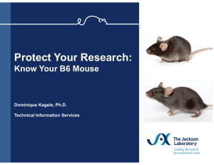 Protect Your Research: Know Your B6 Mouse Dominique Kagele, Ph.D. Technical Information Services