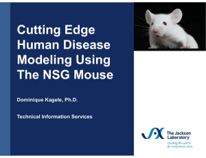 Cutting Edge Human Disease Modeling Using The NSG Mouse