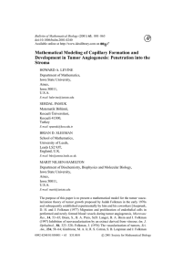 Mathematical Modeling of Capillary Formation and