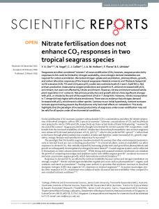 Nitrate fertilisation does not enhance CO responses in two tropical seagrass species