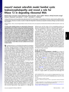 rnaset2 mutant zebraﬁsh model familial cystic