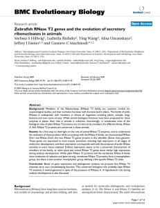 BMC Evolutionary Biology ribonucleases in animals