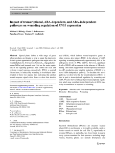 Impact of transcriptional, ABA-dependent, and ABA-independent RNS1