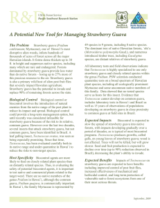 A Potential New Tool for Managing Strawberry Guava  The Problem