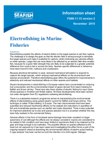 Electrofishing in Marine Fisheries Information sheet FS88.11.15 version 2