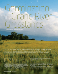 Germination Grand River Grasslands