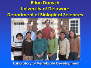 Brian Danysh University of Delaware Department of Biological Sciences Laboratory of Vertebrate Development