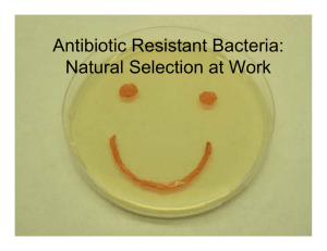 Antibiotic Resistant Bacteria: Natural Selection at Work