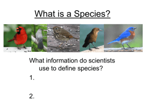 What is a Species? What information do scientists use to define species? 1.