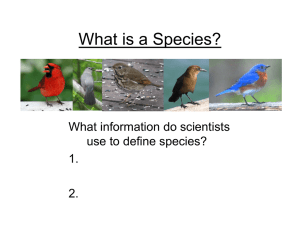 What is a Species? What information do scientists use to define species? 1