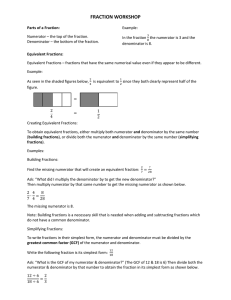 FRACTION WORKSHOP