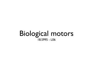 Biological motors 18.S995 - L06