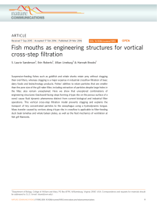 Fish mouths as engineering structures for vortical cross-step ﬁltration ARTICLE S. Laurie Sanderson